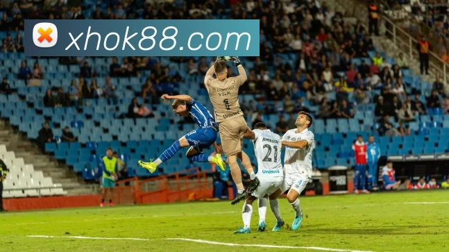 多媒体互动体验