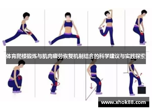 体育爬楼锻炼与肌肉疲劳恢复机制结合的科学建议与实践探索